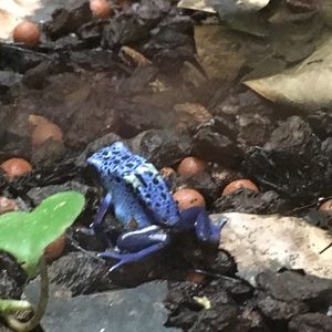 Meet your Posher, Connor